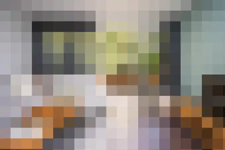 Lindeboom 46 Mook thumbnail 14