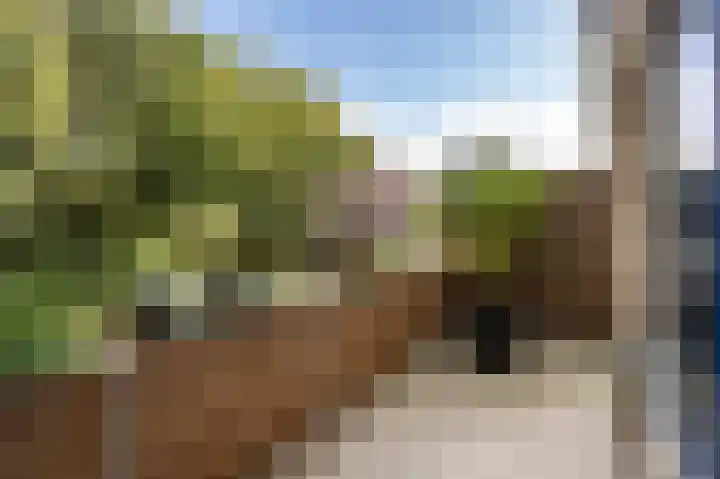 Lindeboom 46 Mook thumbnail 15