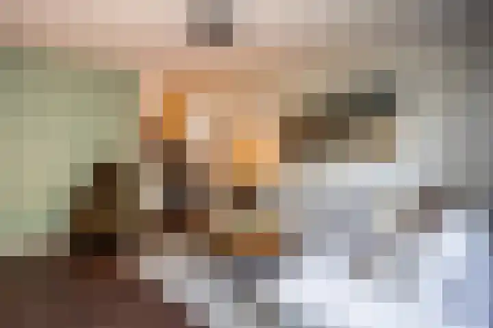 Lindeboom 46 Mook thumbnail 17