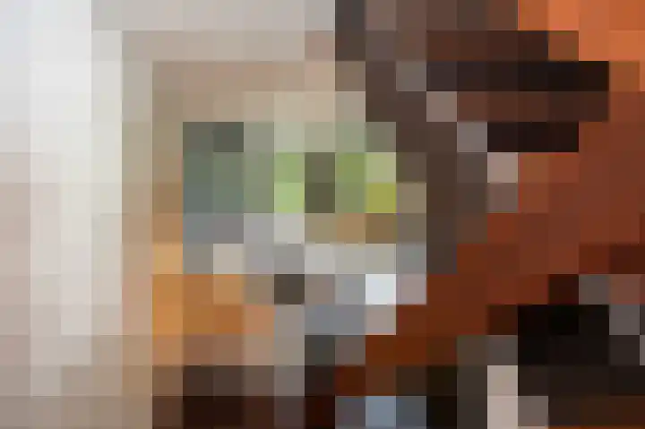 Lindeboom 46 Mook thumbnail 18