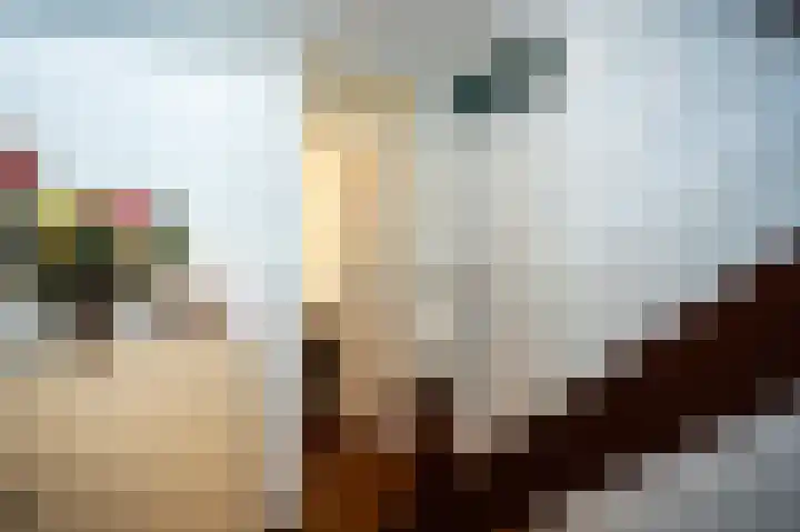 Lindeboom 46 Mook thumbnail 19