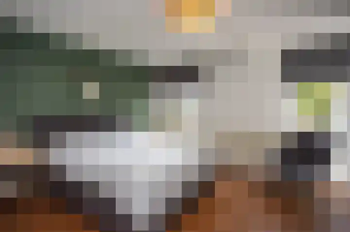 Lindeboom 46 Mook thumbnail 30
