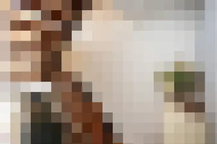 Lindeboom 46 Mook thumbnail 33