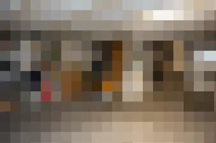 Lindeboom 46 Mook thumbnail 40