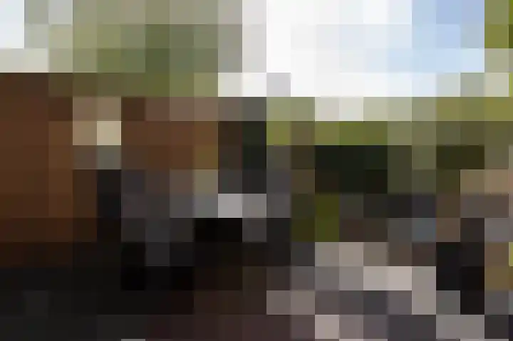 Lindeboom 46 Mook thumbnail 41