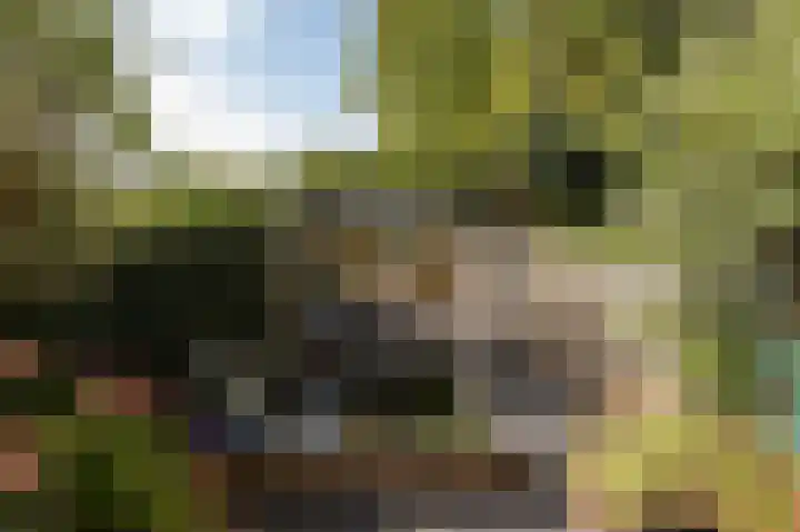 Lindeboom 46 Mook thumbnail 42