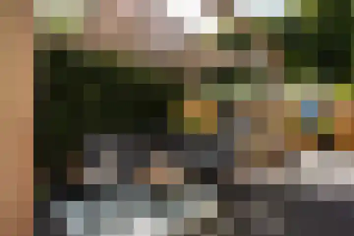 Lindeboom 46 Mook thumbnail 43