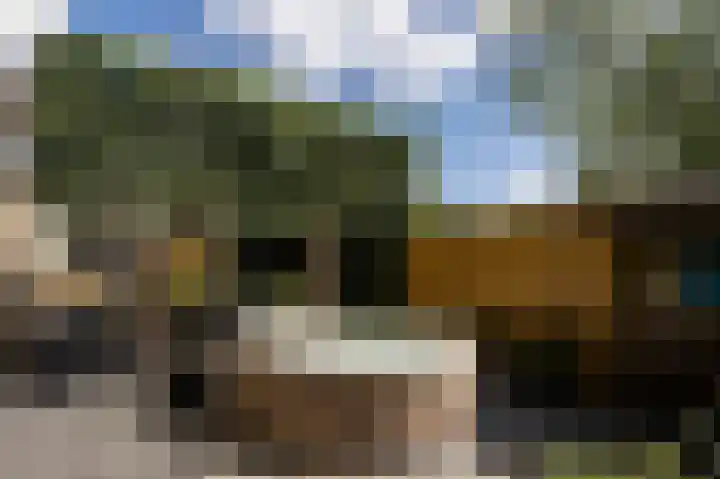 Lindeboom 46 Mook thumbnail 44