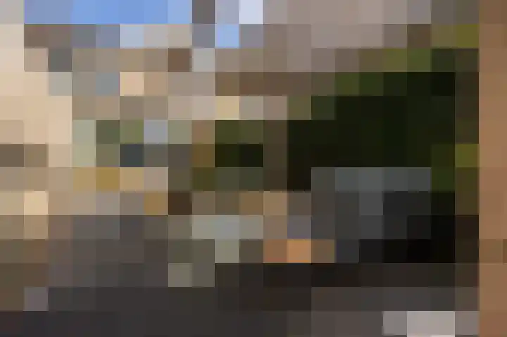 Lindeboom 46 Mook thumbnail 45