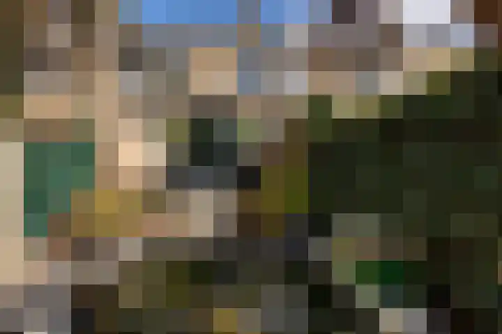 Lindeboom 46 Mook thumbnail 46