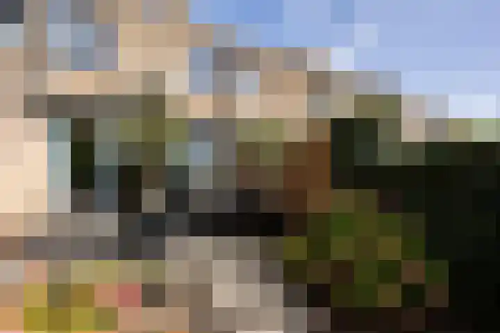 Lindeboom 46 Mook thumbnail 47