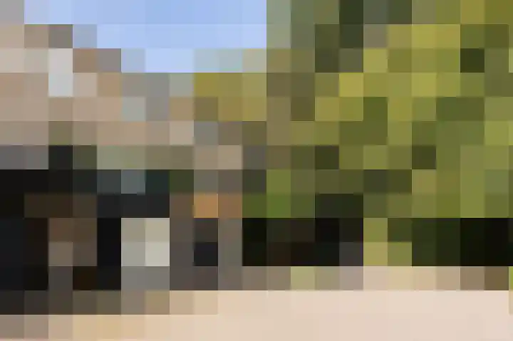 Lindeboom 46 Mook thumbnail 48