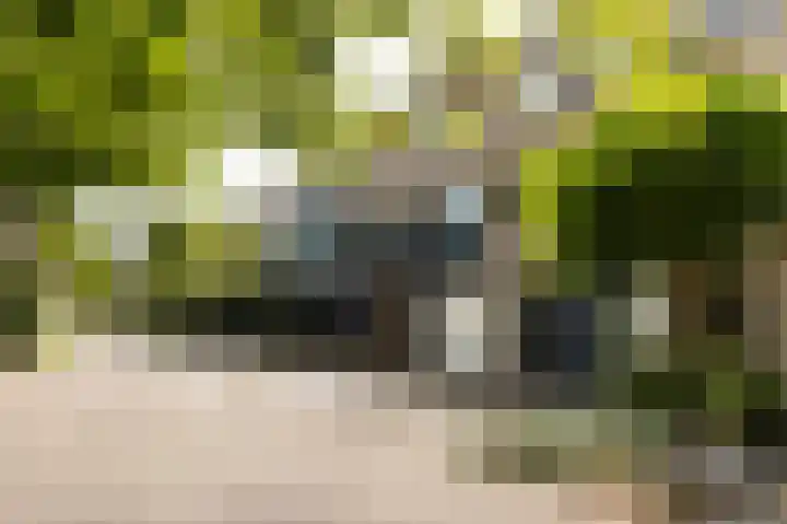 Lindeboom 46 Mook thumbnail 49