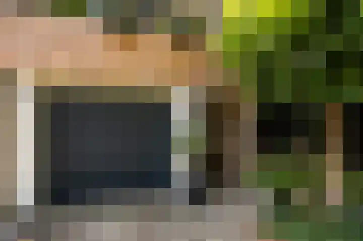 Lindeboom 46 Mook thumbnail 5