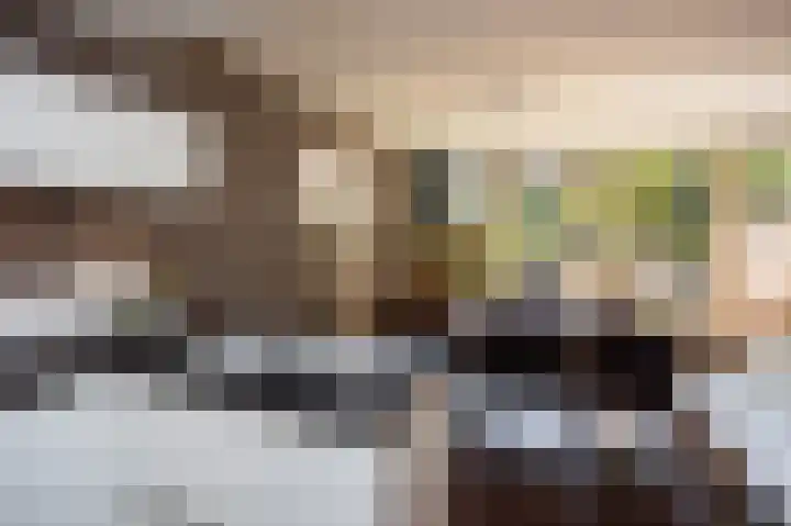 Lindeboom 46 Mook thumbnail 9