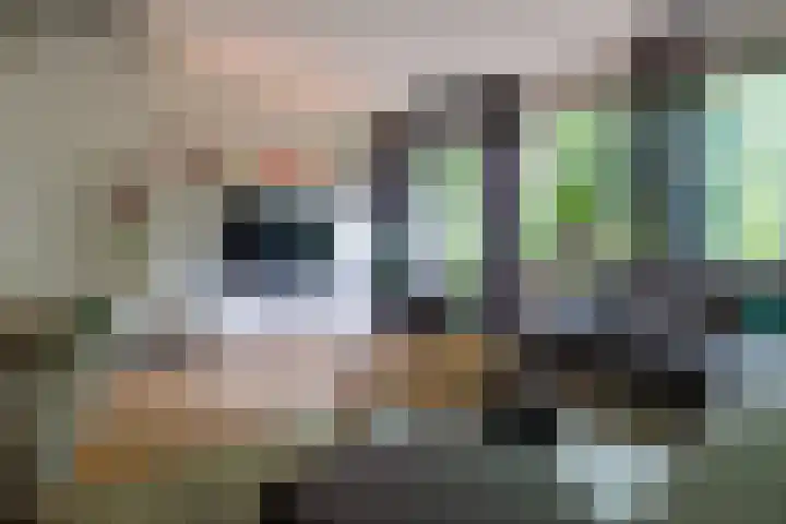 Lindeboom 48 Mook thumbnail 17