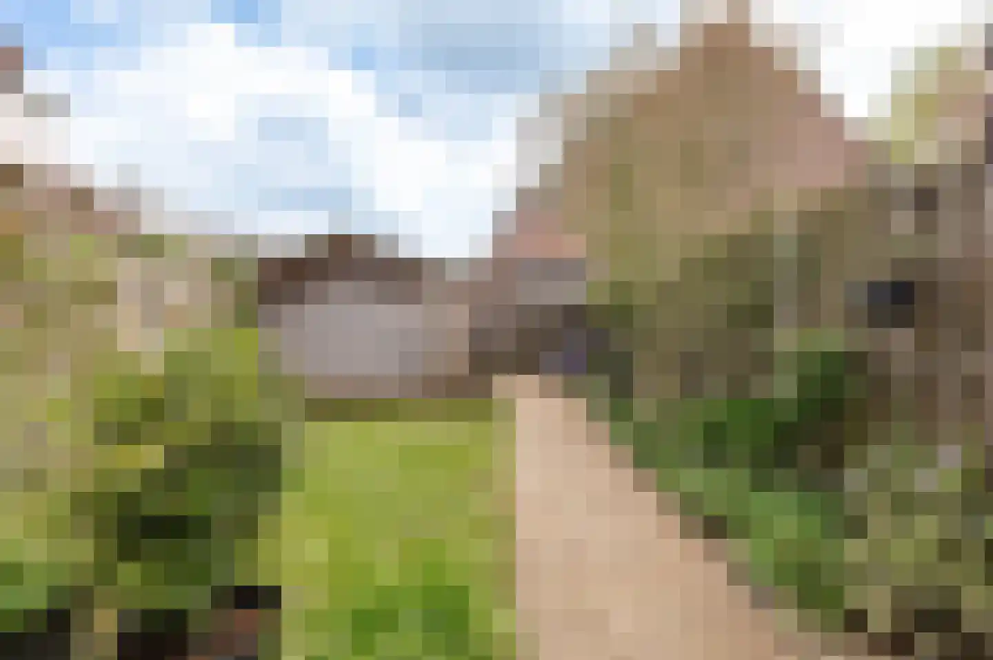 Lindeboom 61 Culemborg thumbnail 19
