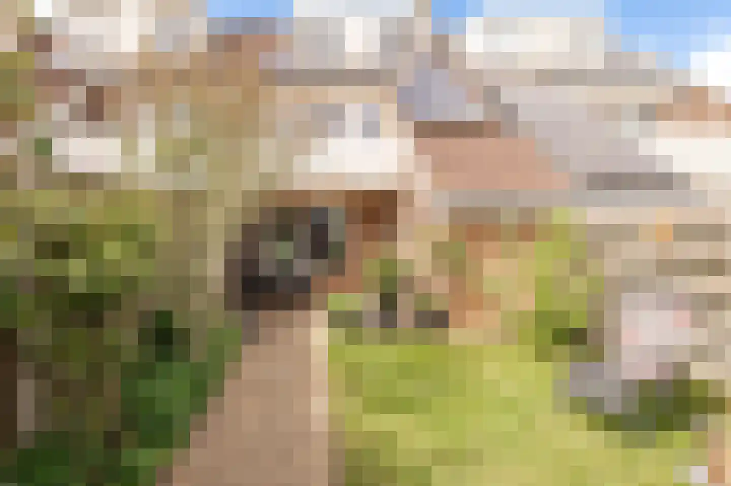 Lindeboom 61 Culemborg thumbnail 22