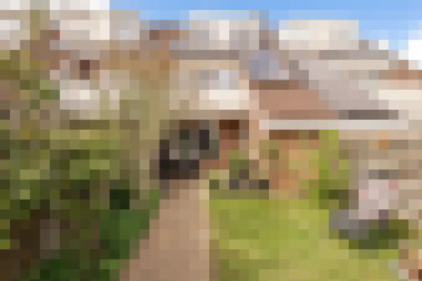 Lindeboom 61 Culemborg thumbnail 23