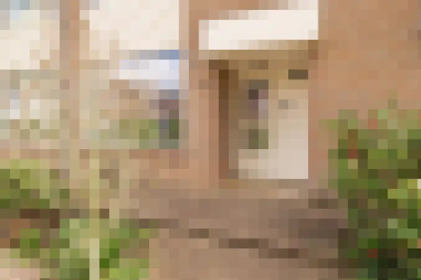Lindeboom 61 Culemborg thumbnail 6