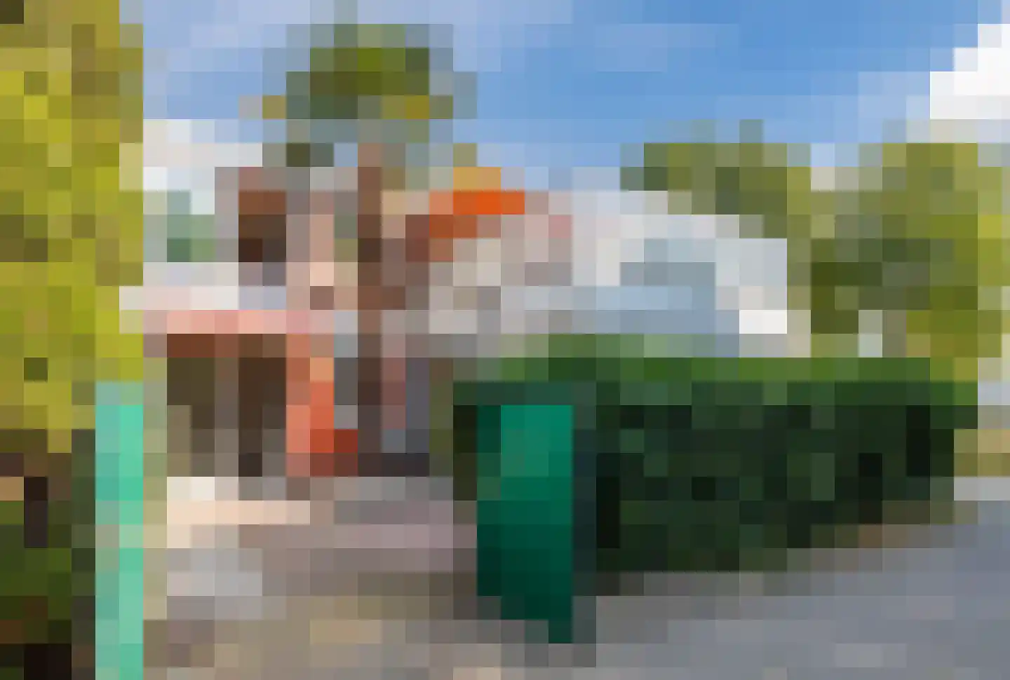 Lindeboom 61 Mook