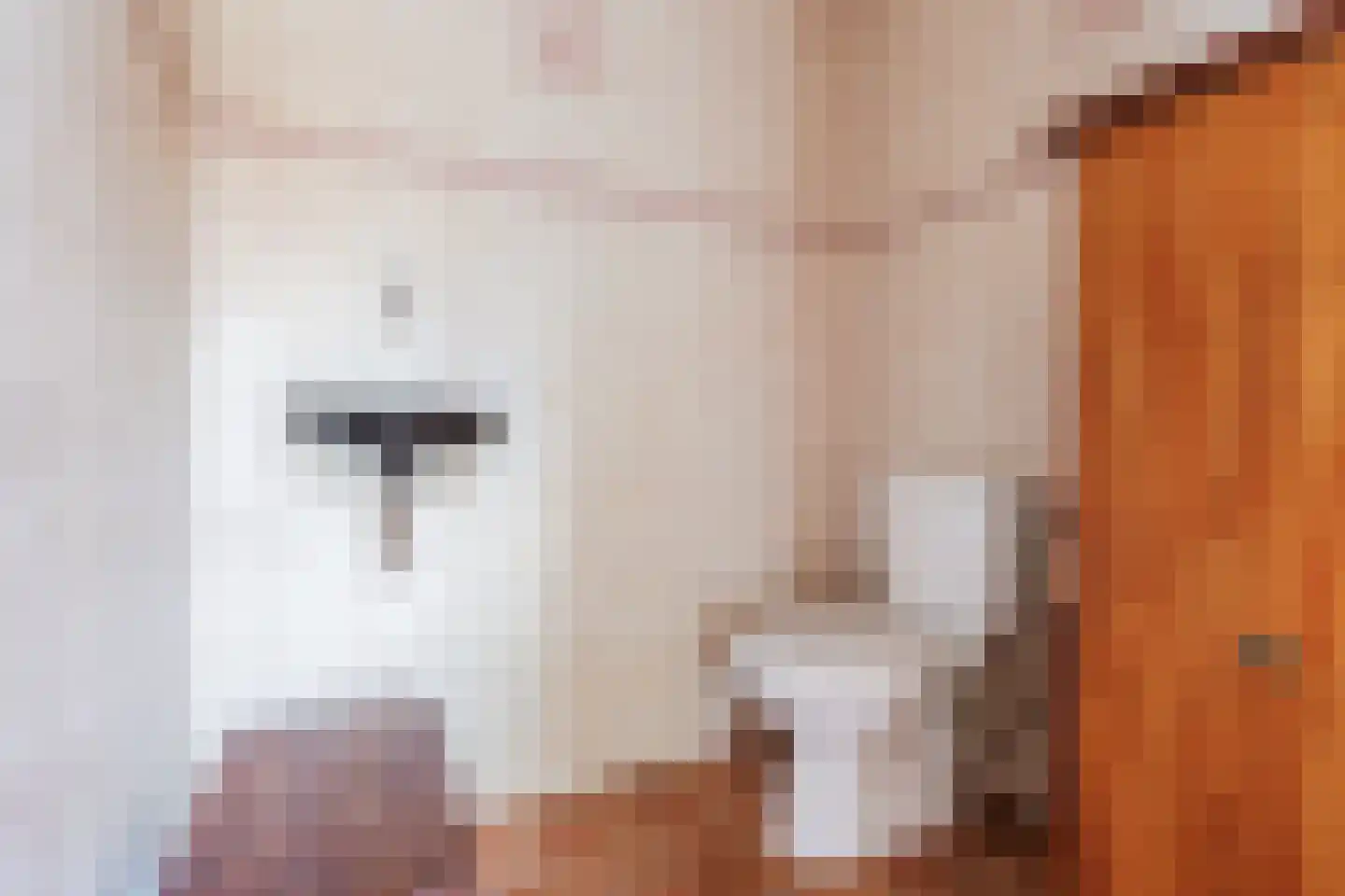 Lindeboom 61 Mook thumbnail 11