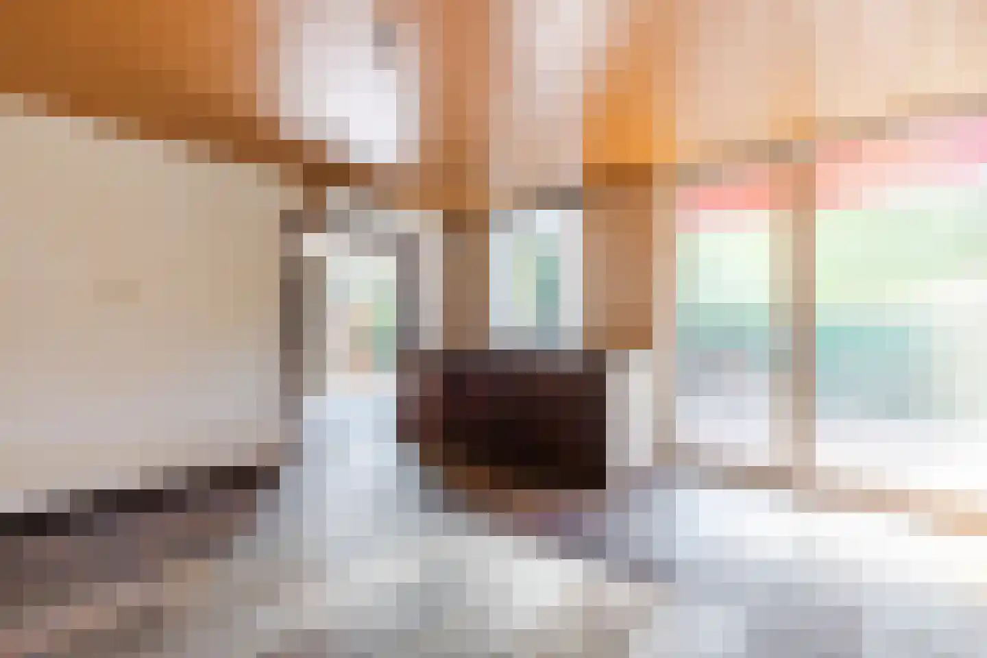 Lindeboom 61 Mook thumbnail 16