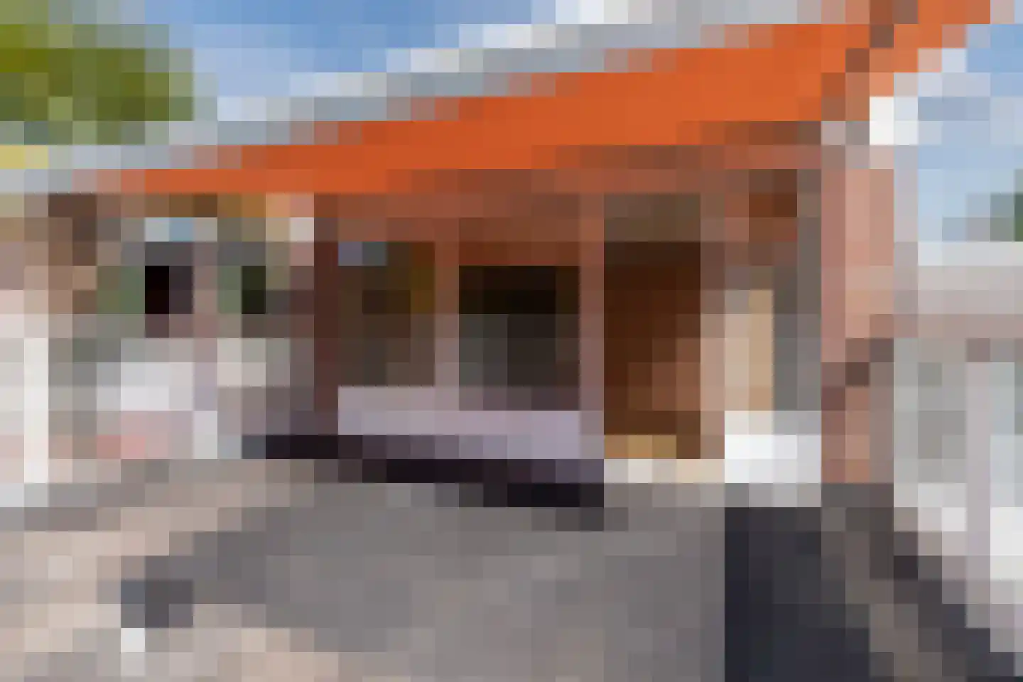 Lindeboom 61 Mook thumbnail 27