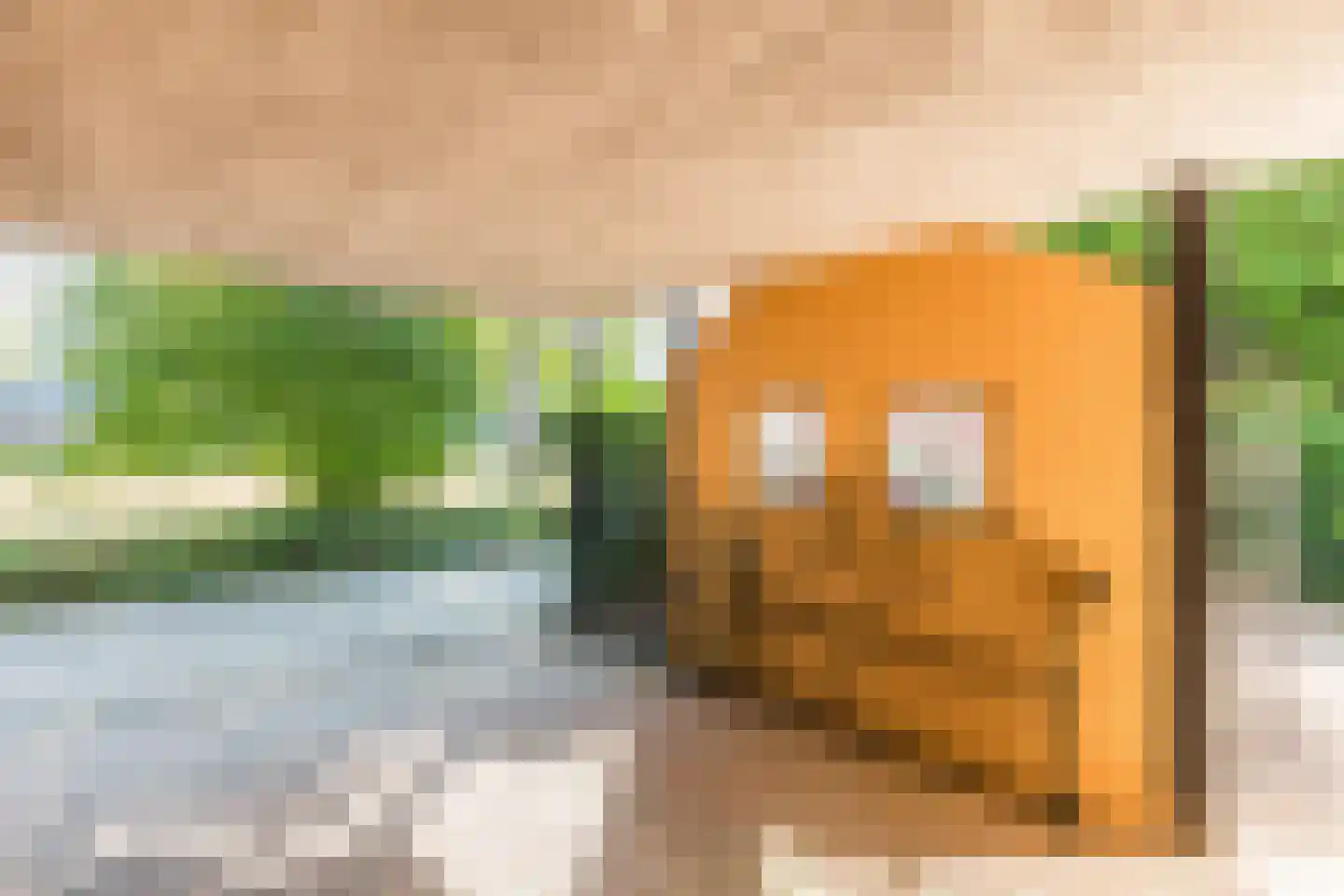 Lindeboom 61 Mook thumbnail 39