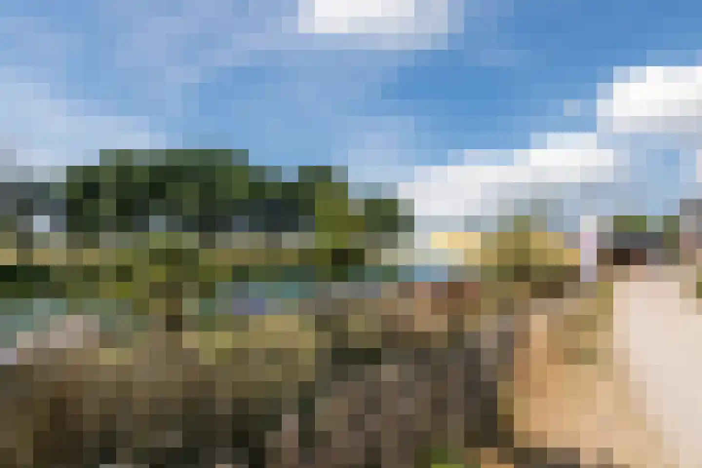 Lindeboom 61 Mook thumbnail 43