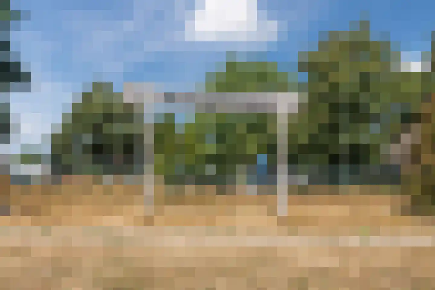 Lindeboom 61 Mook thumbnail 45