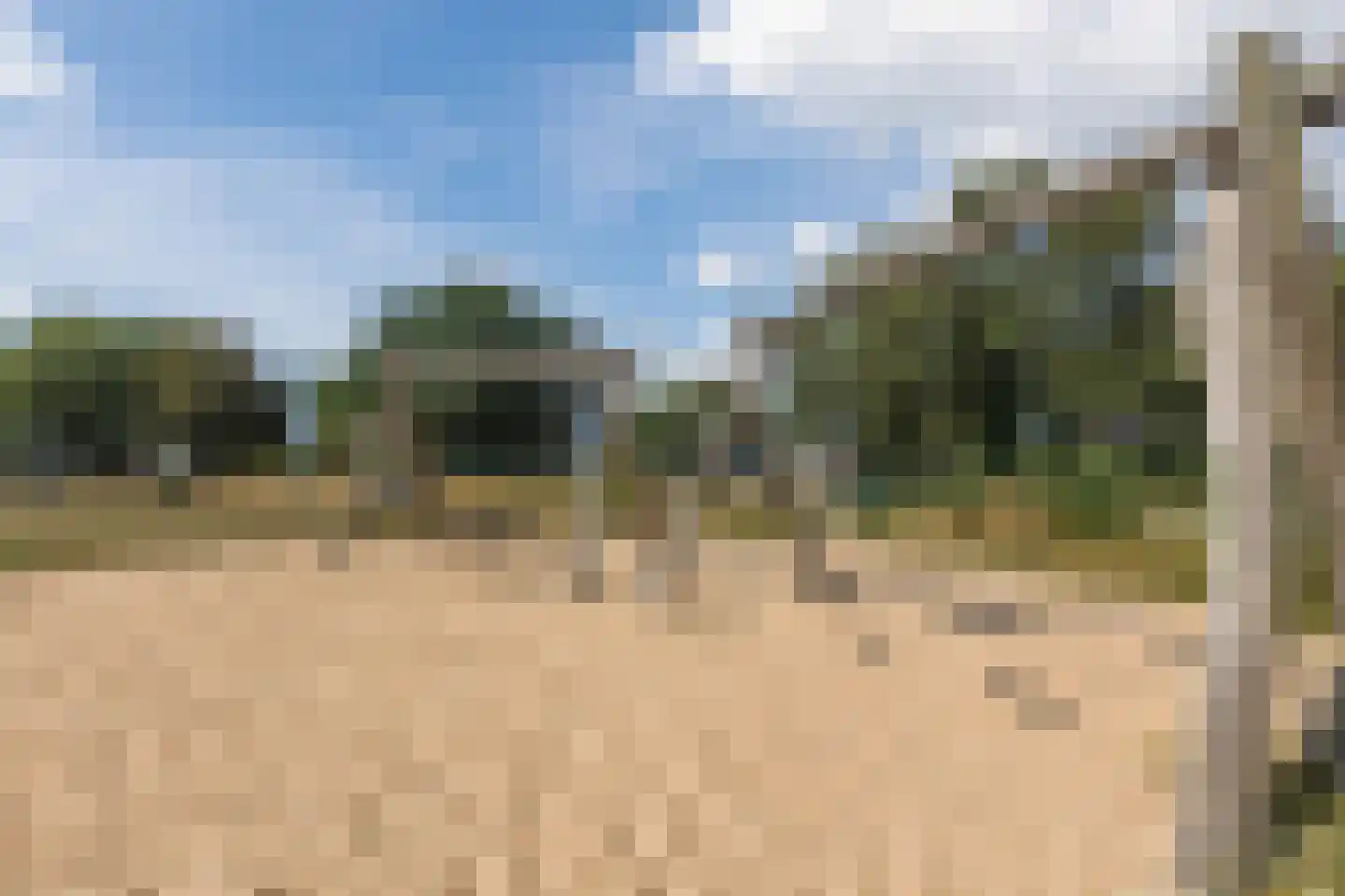 Lindeboom 61 Mook thumbnail 46
