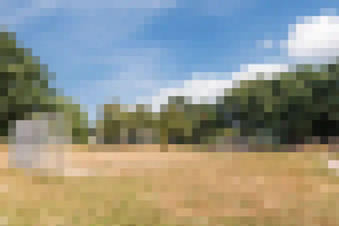 Lindeboom 61 Mook thumbnail 47