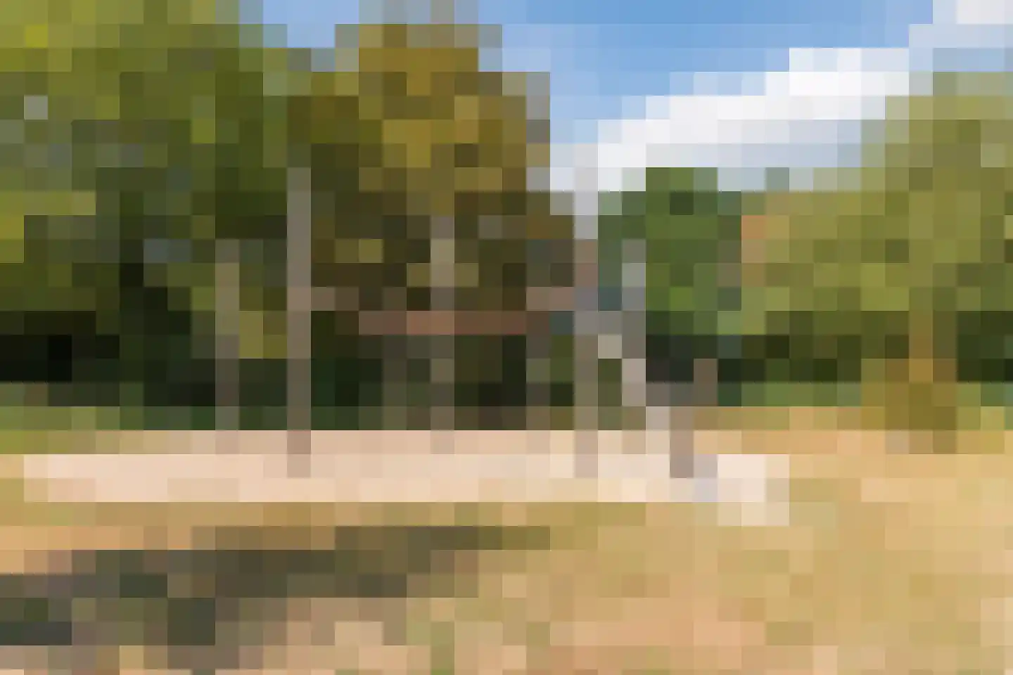 Lindeboom 61 Mook thumbnail 48