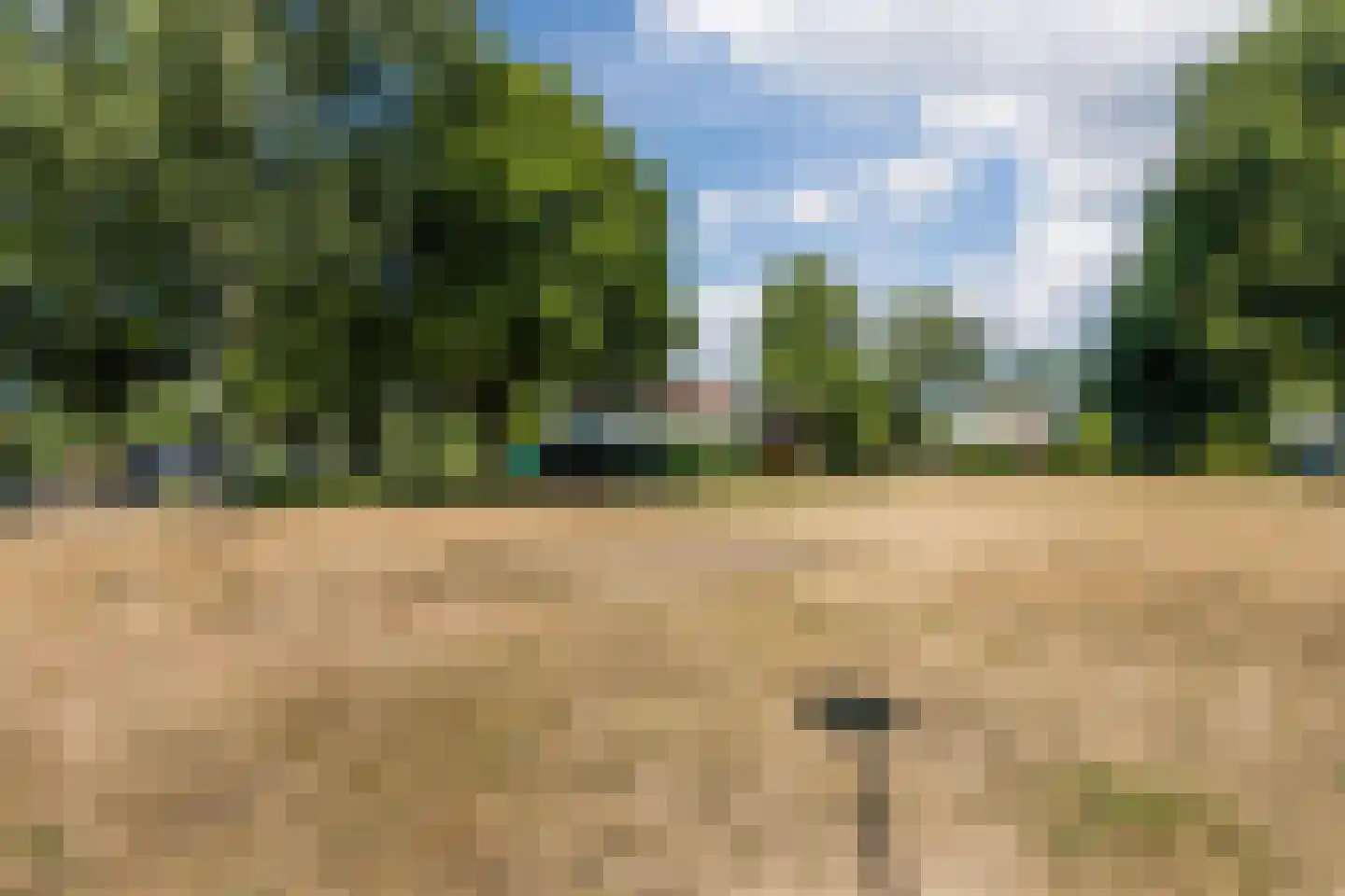 Lindeboom 61 Mook thumbnail 50