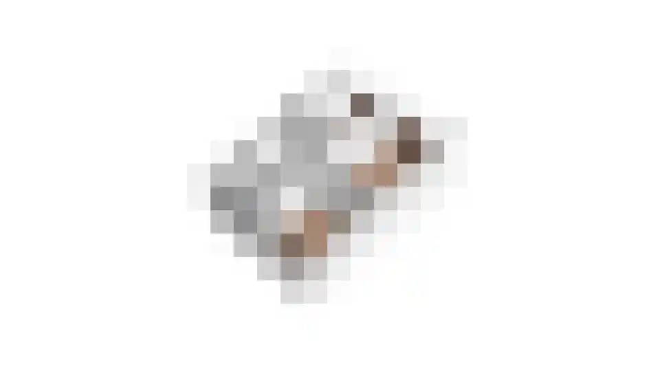 Lindeboom 66 Mook thumbnail 29