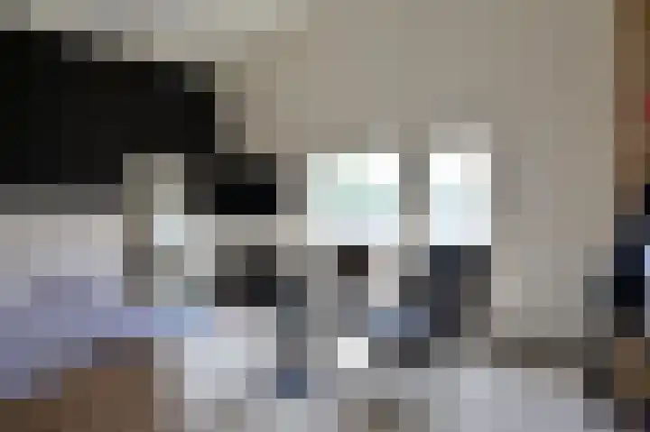 Lindeboom 90 Mook thumbnail 11