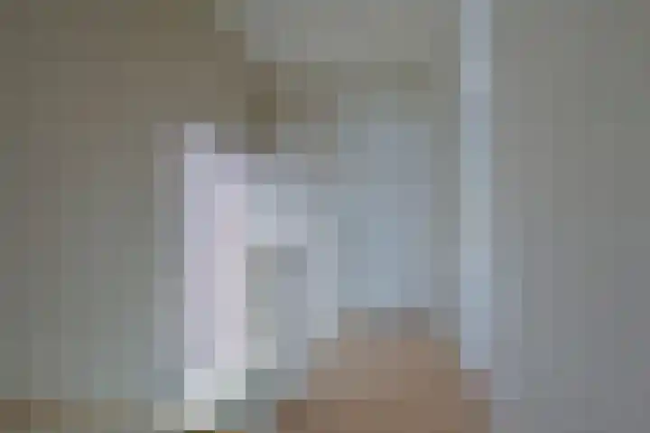 Lindeboom 90 Mook thumbnail 14