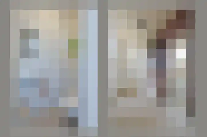 Lindeboom 90 Mook thumbnail 15