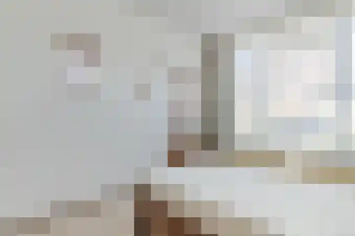 Lindeboom 90 Mook thumbnail 17