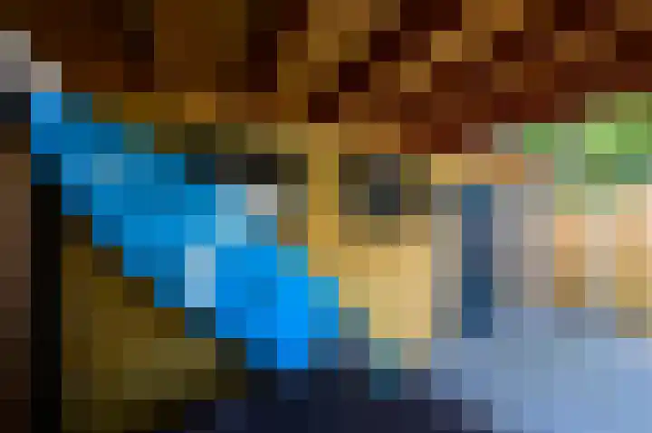 Lindeboom 90 Mook thumbnail 19
