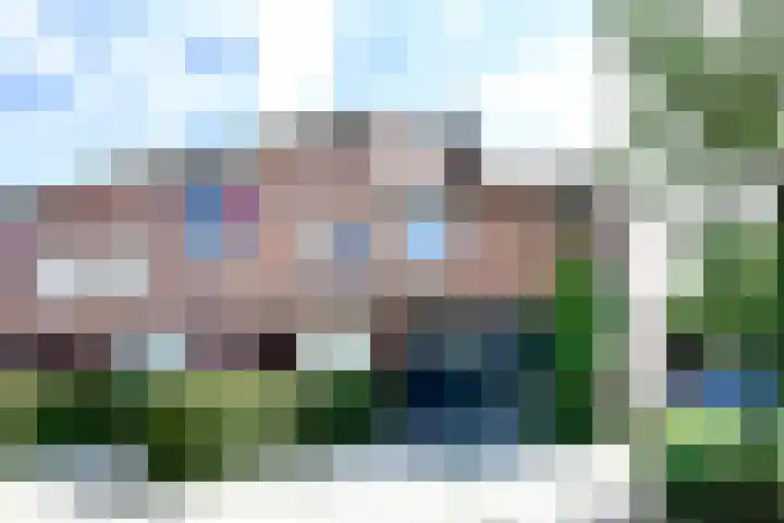 Lindeboom 90 Mook foto 2