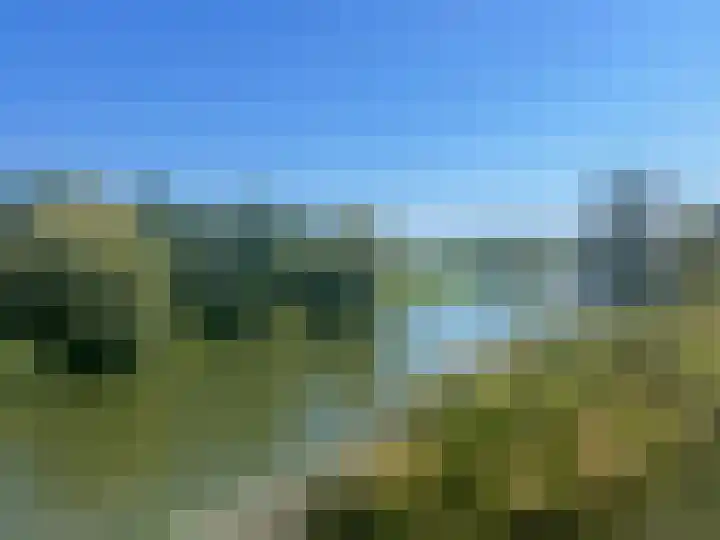 Lindeboom 90 Mook thumbnail 21