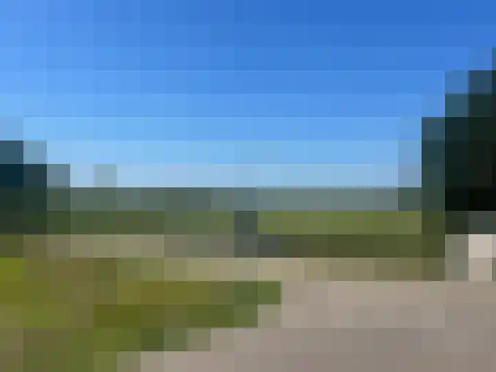 Lindeboom 90 Mook thumbnail 23