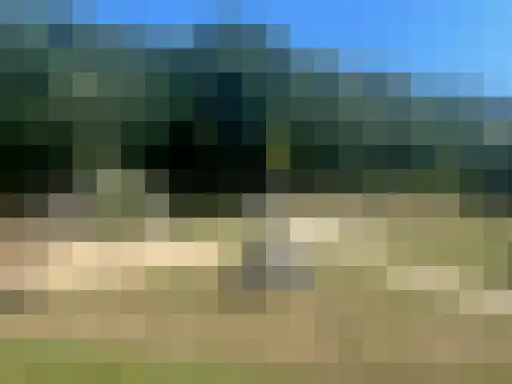 Lindeboom 90 Mook thumbnail 24