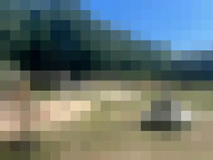Lindeboom 90 Mook thumbnail 25