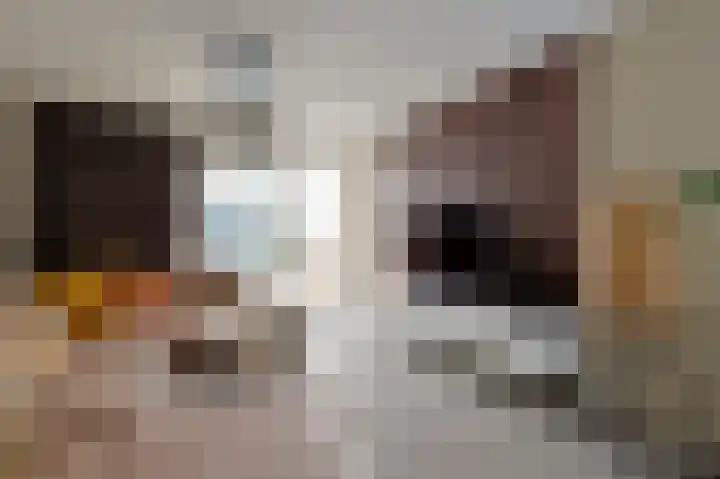 Lindeboom 90 Mook thumbnail 5