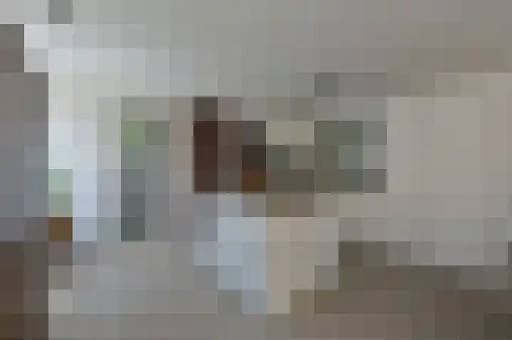 Lindeboom 90 Mook thumbnail 6