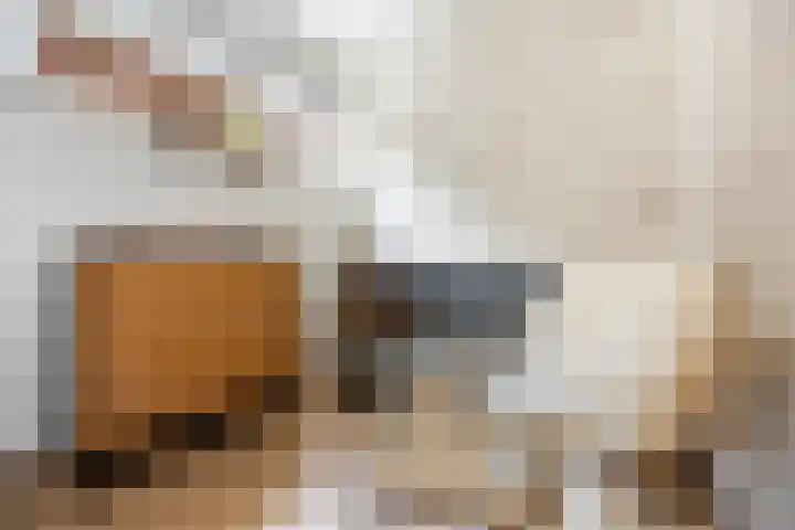 Lindeboom 90 Mook thumbnail 7