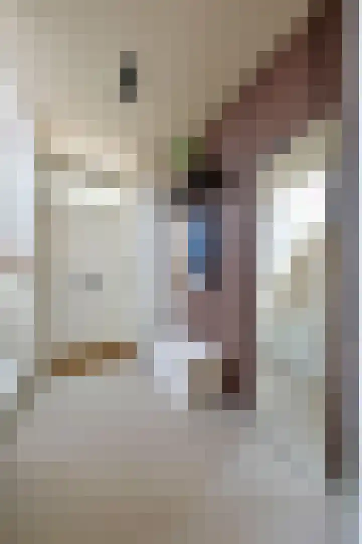 Lindeboom 90 Mook thumbnail 8